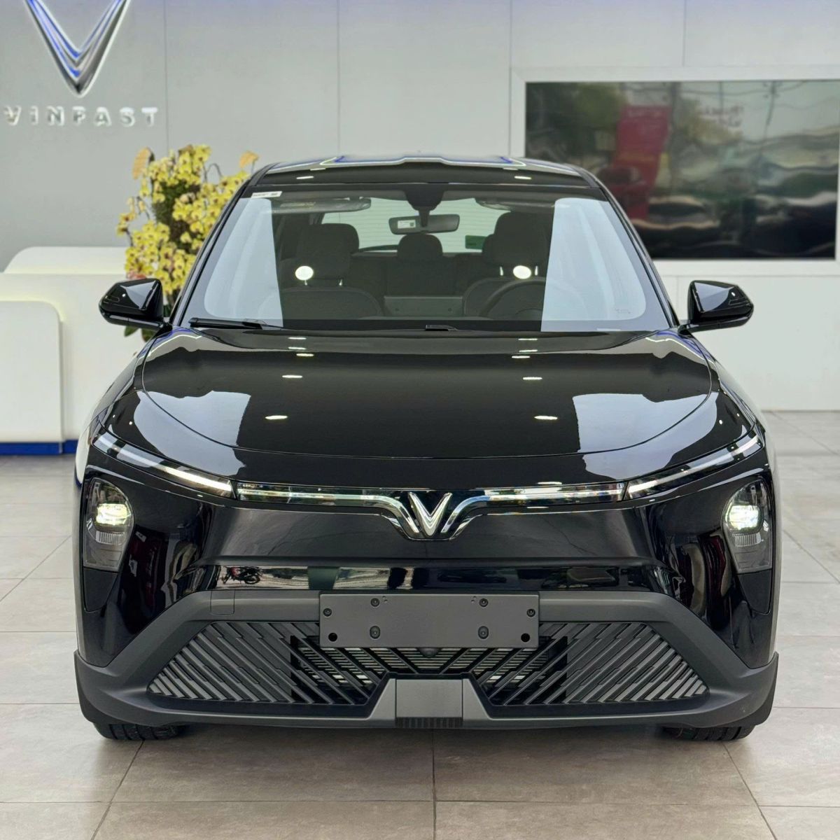 Ngoại thất VinFast Limo Green